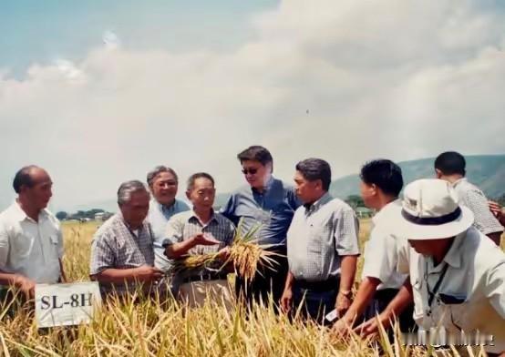 “必须严惩！”2024年4月14日，央视新闻曝光了一起引发公愤的案件：袁隆平院士