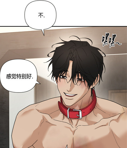 给自己养了个杯子