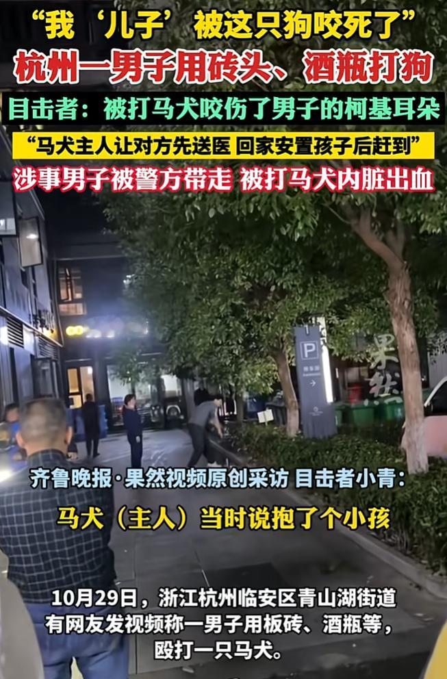近日,浙江杭州,马路上突然传来狗狗的惨叫声,路人循声寻找,发现有一名男子正在用石