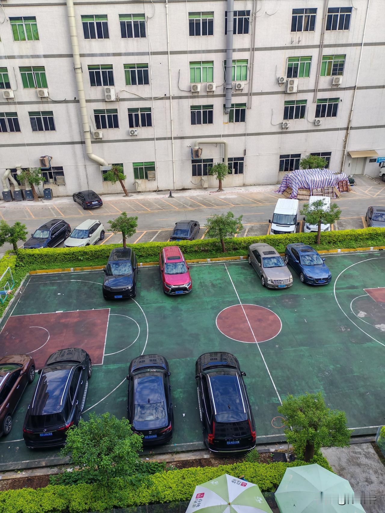 给大家看看我们公司楼下的车子，全都是燃油车，新能源的车子何去何从？