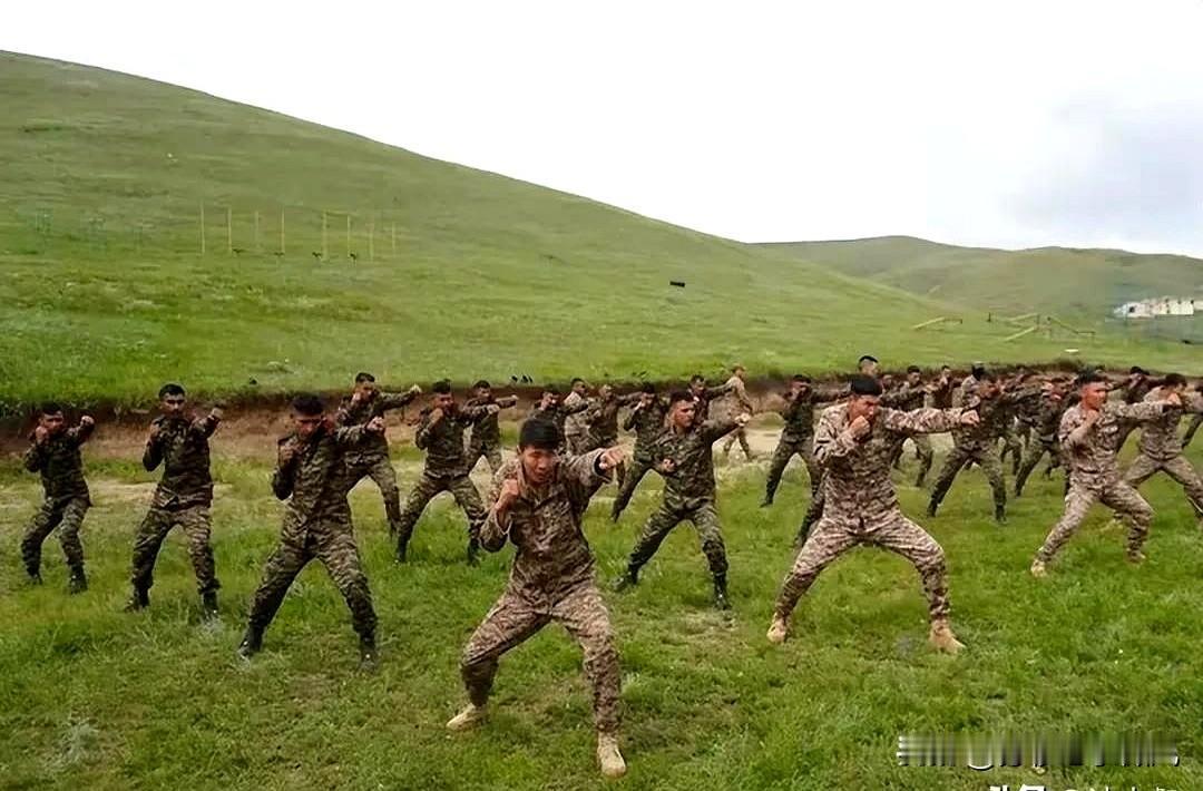 今天，忽然看到印度和蒙古国在蒙古国乌兰巴托联合军演的消息感到非常惊奇。我们注
