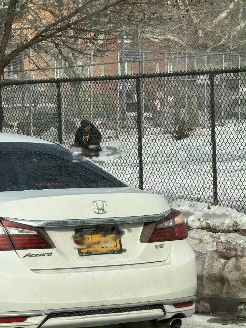 活久见，陈旺在某书征婚……