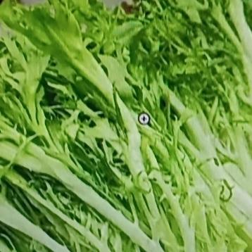 睡眠不好、肝火旺盛可太难受了，我之前就深受其扰，后来发现吃这四种蔬菜能降火，睡眠