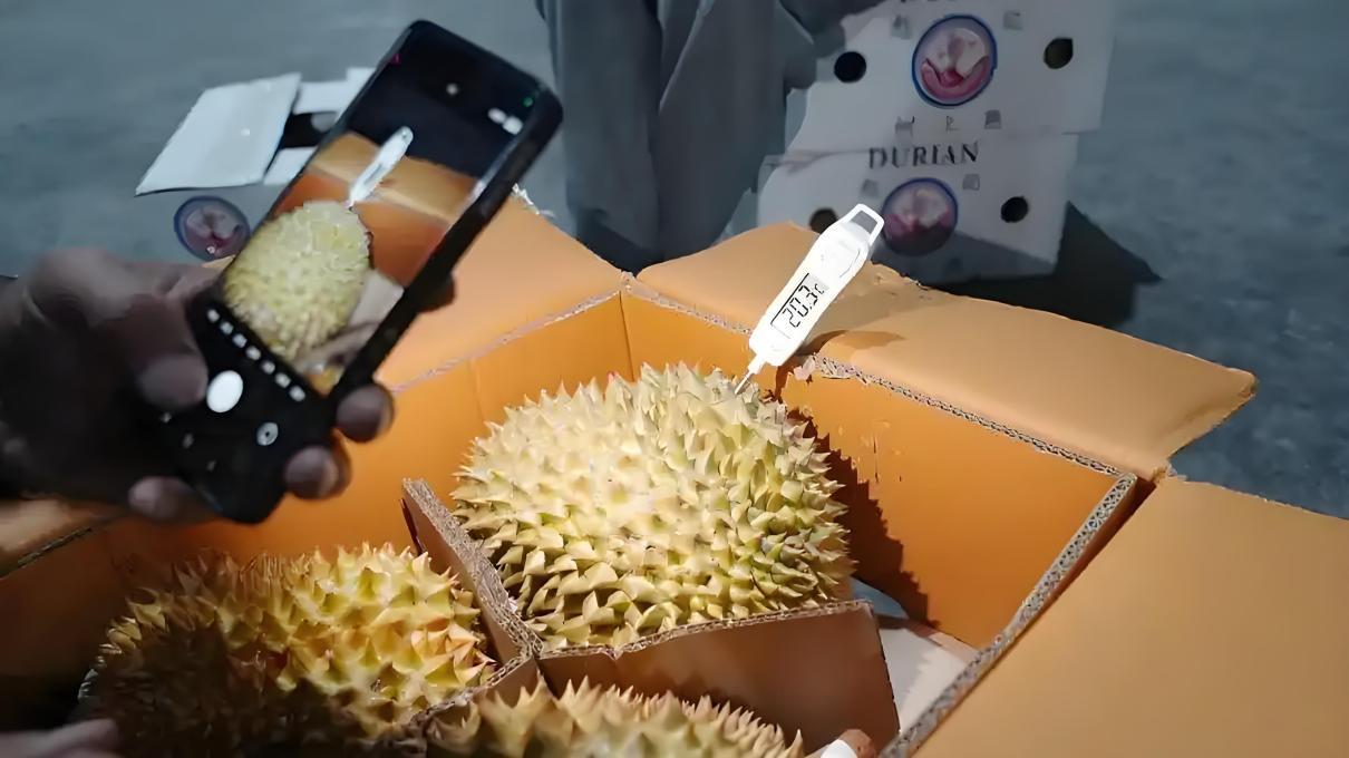 合法产量6.8万吨，却卖了130万吨——你吃的越南榴莲，有几斤是真的？ 20