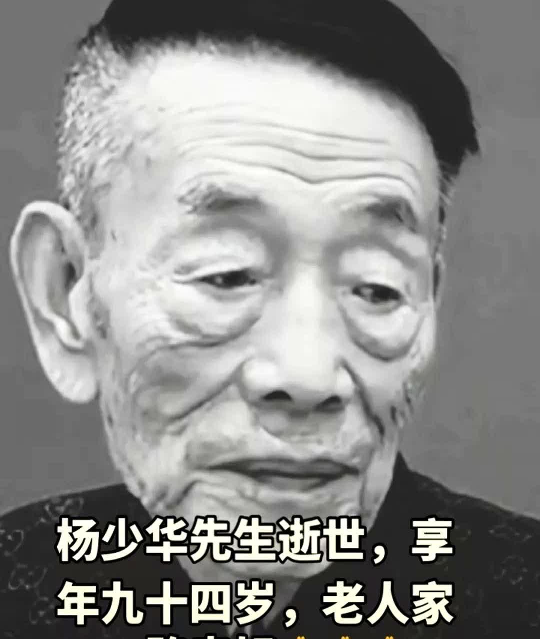 扒了扒杨少华不查不知道一查才发现他不仅是著名的相声演员还曾经