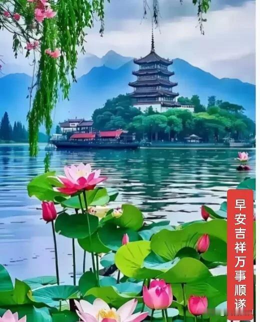  清晨有阳光，心中有温柔，愿你今天一切都好。