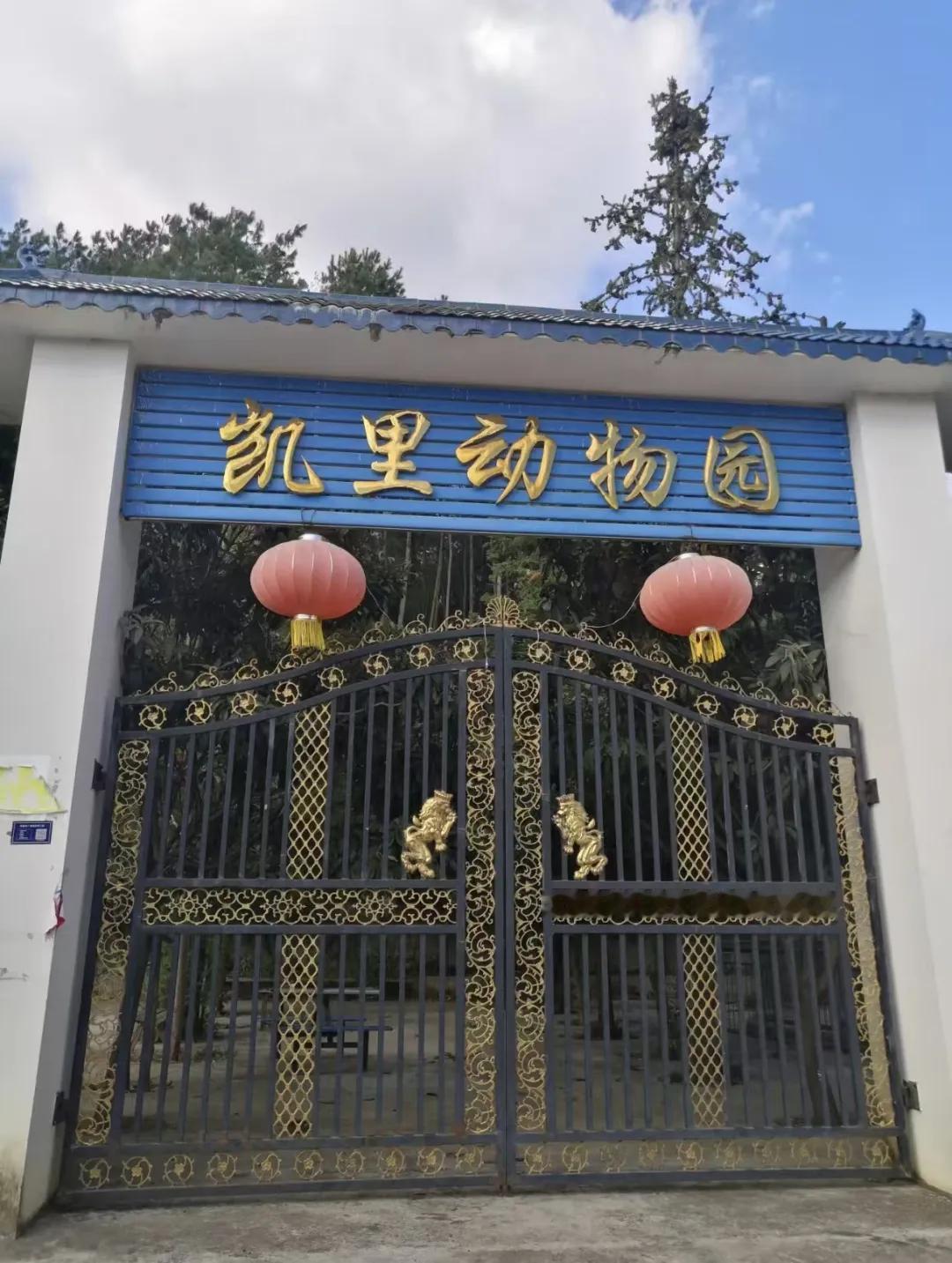 贵州凯里动物园这波走红太意外了。70岁的园长冯元勇,既是负责人,又是售票员、管理