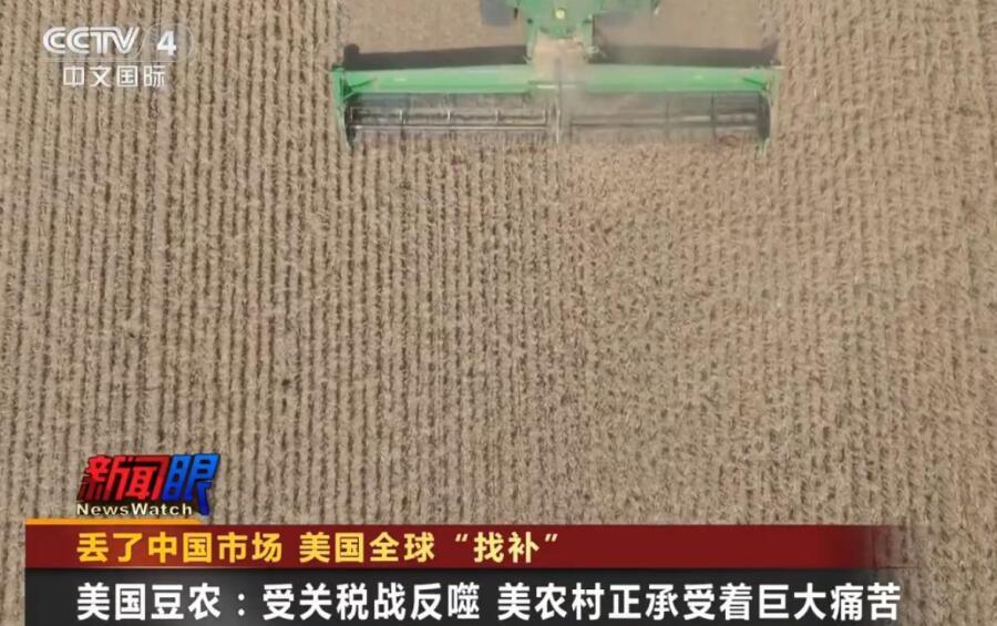 美国大豆现在处境尴尬。2024年，大豆以245.8亿美元出口额居美国农产品出口首