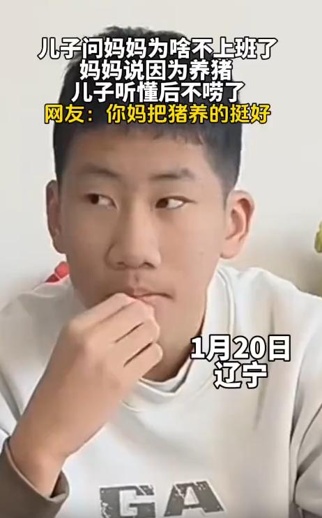笑不活了！1月20日辽宁，儿子问妈妈为啥不上班了，妈妈说因为养猪，儿子表示疑惑：