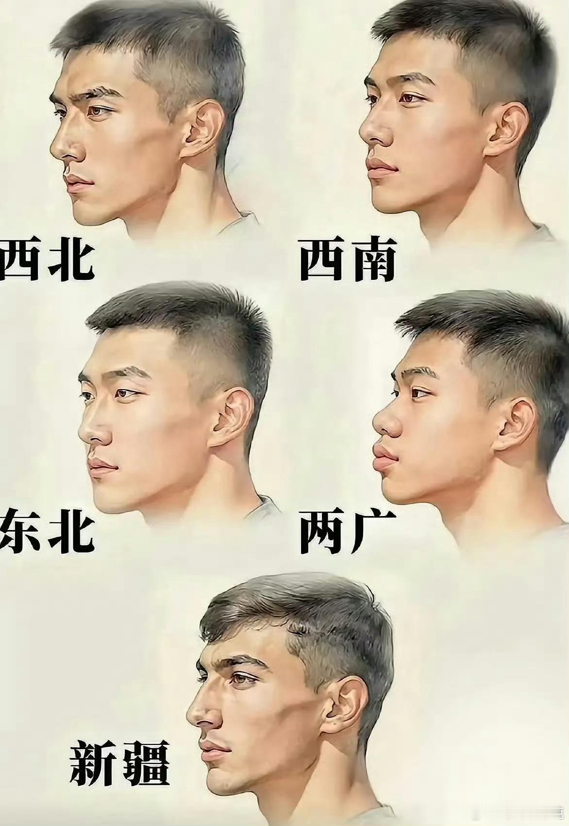据说这是各地男生长相，你觉得符合吗？