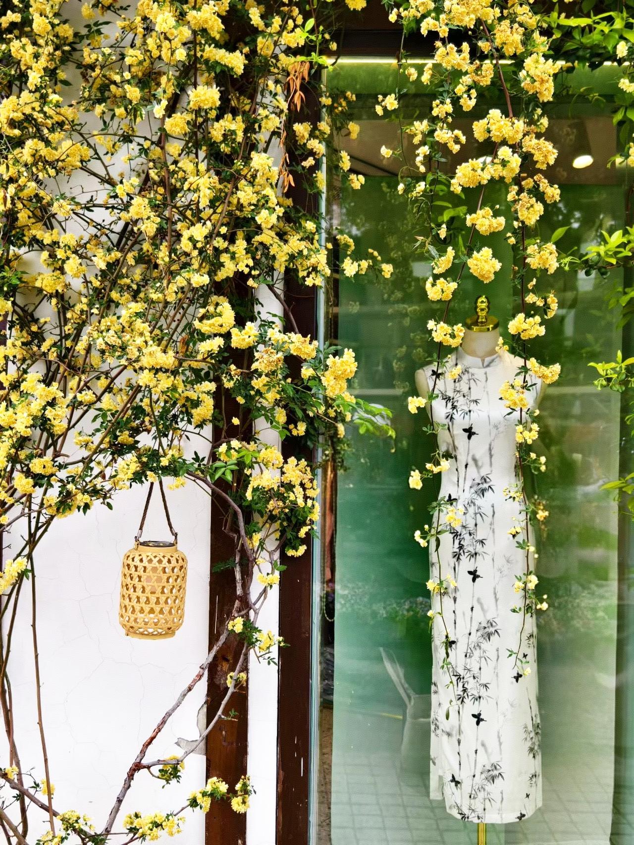 江南别无可赠，姑且寄你一枝春色。苏州山塘街‌，又称“七里山塘”。‌是