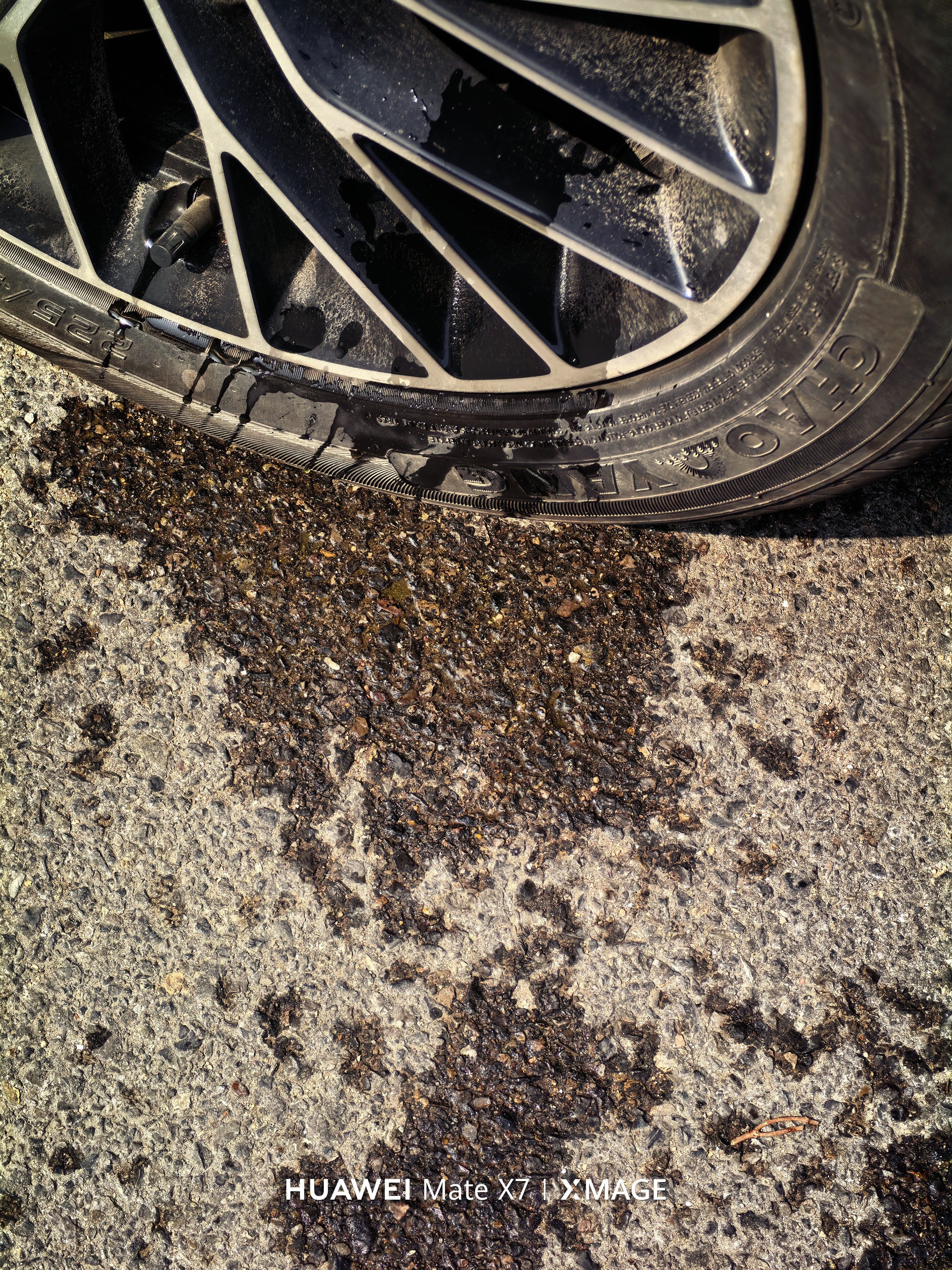 岂有此理！竟然有狗子在我车轱辘上撒尿！！！！！！！！！！！！青岛