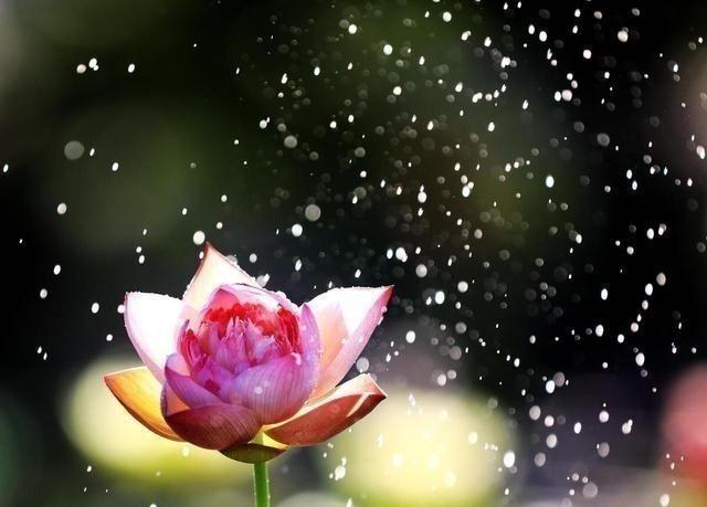 雨天怎么拍大片？别急着收起手机，掌握这些方法，雨景也能拍出高级感一场雨，可能