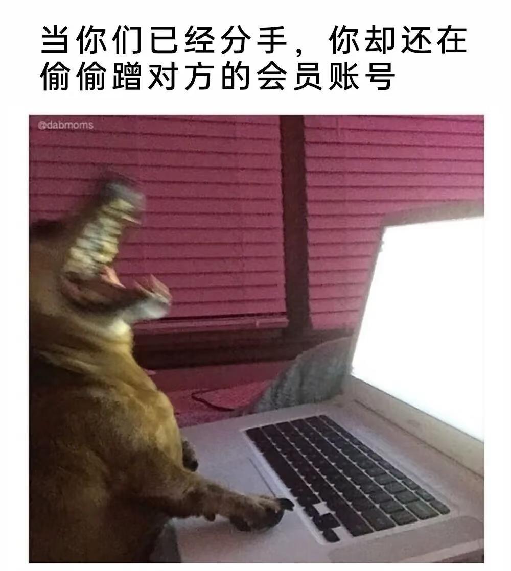 【meme】梗图：是你吗meme此图有梗