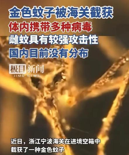 又是美国，又是病毒，这次不是实验室，是一整船“带毒蚊子”直接开到中国宁波！美国