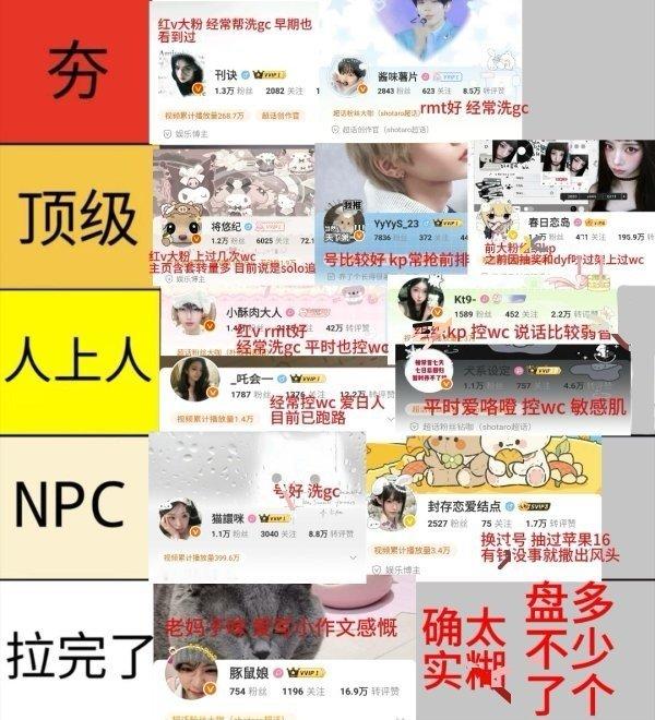 盘点将太郎粉⭕大粉从夯到拉排名​​​