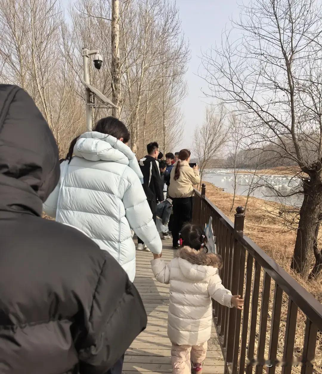 考研321分复试都没进，全家连夜换剧本。三个月逼出化学工程师证，安全工程和分析