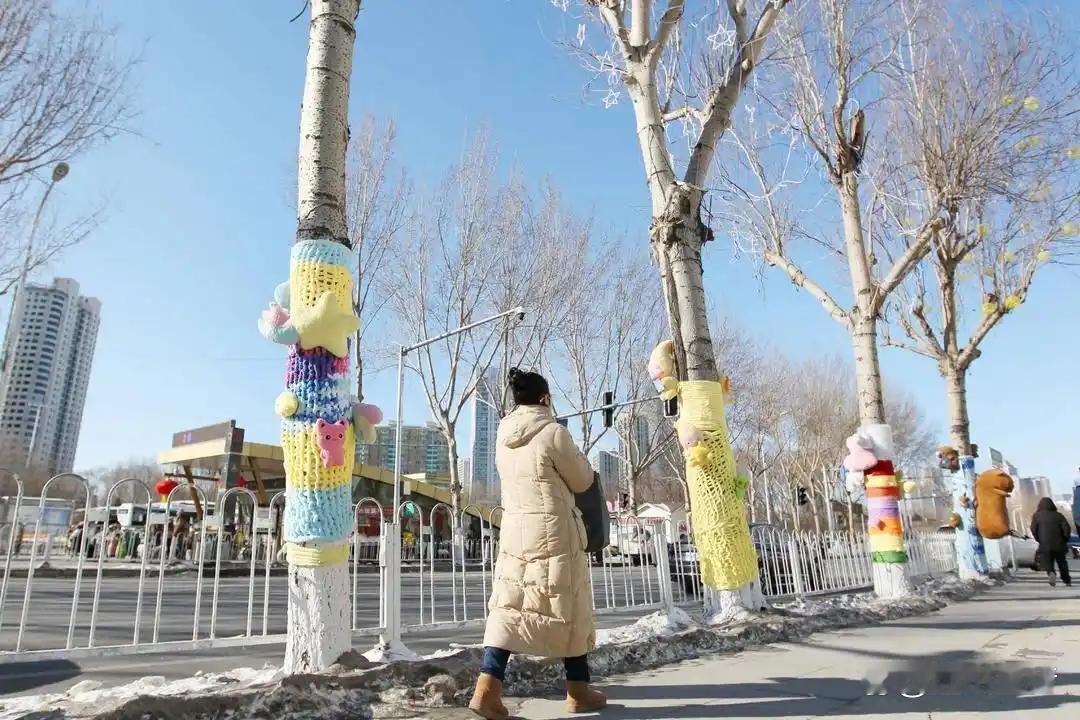 【沈阳：仪式感拉满大寒时节树木添“新衣”】有一种美好叫辽宁辽宁好网民引领