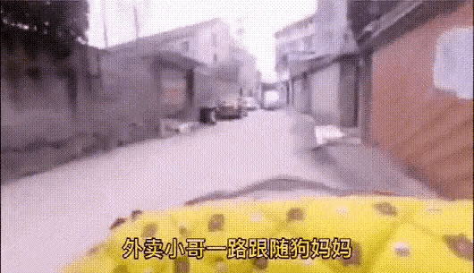 遇到一只大狗嘴里叼着一只小狗，一直追着自己的车跑。出于好奇，他打开了手机录像，没