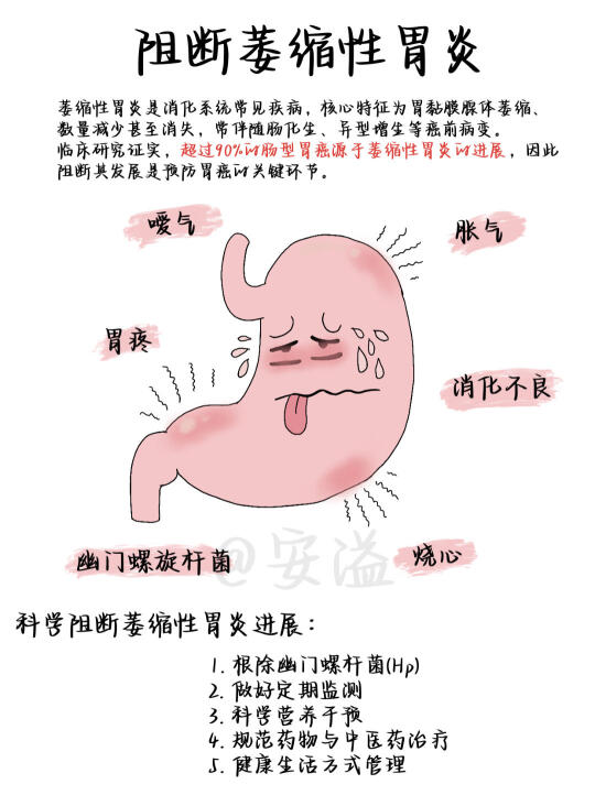 医学生绘本‖如何阻断萎缩性胃炎