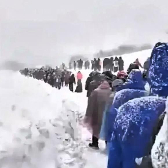 历史苦难哪能拿来当玩乐？哈尔滨把流放宁古塔做成打卡项目，我看完只想说两个字：离