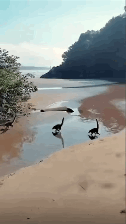 到底是真的，还是视觉上的欺骗呢？有点分不清楚了。