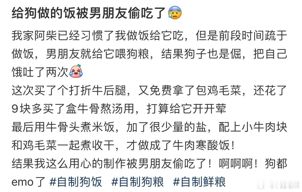 给狗做的饭被男朋友偷吃了😰
