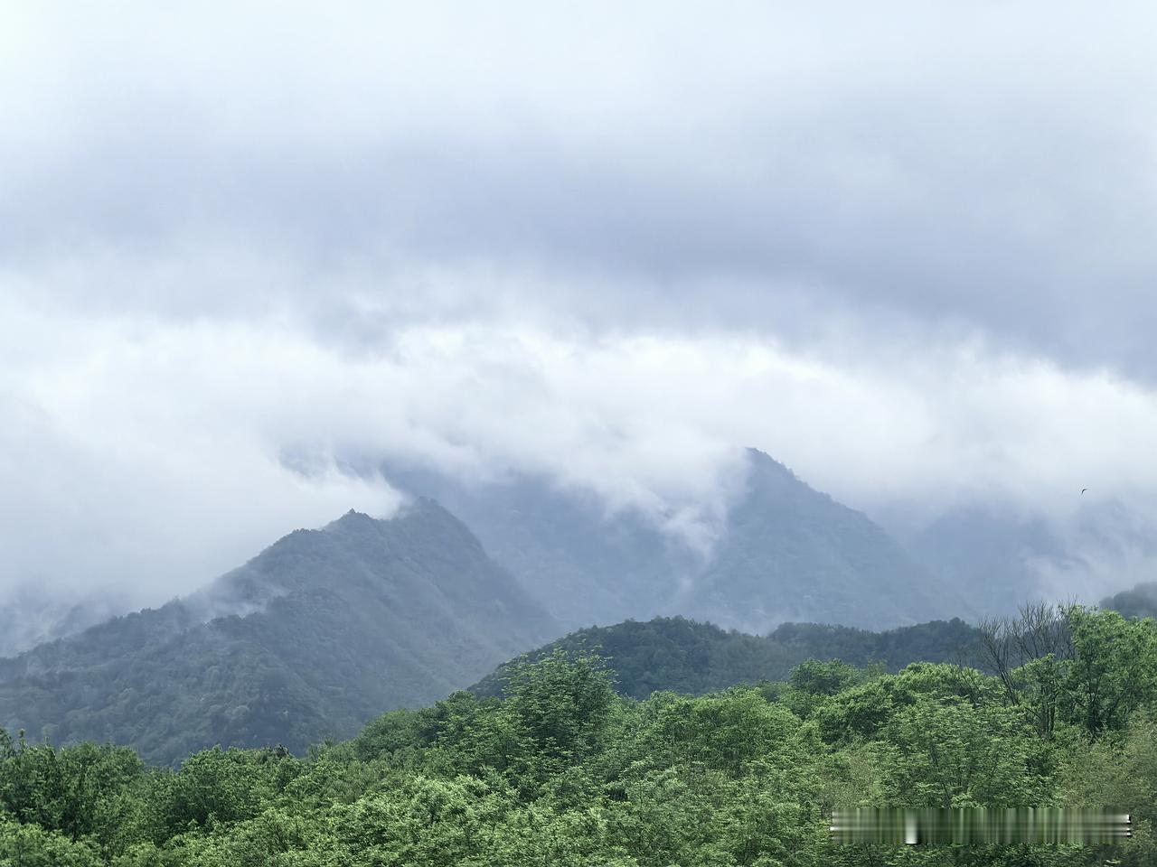 雨天山里的自然风光