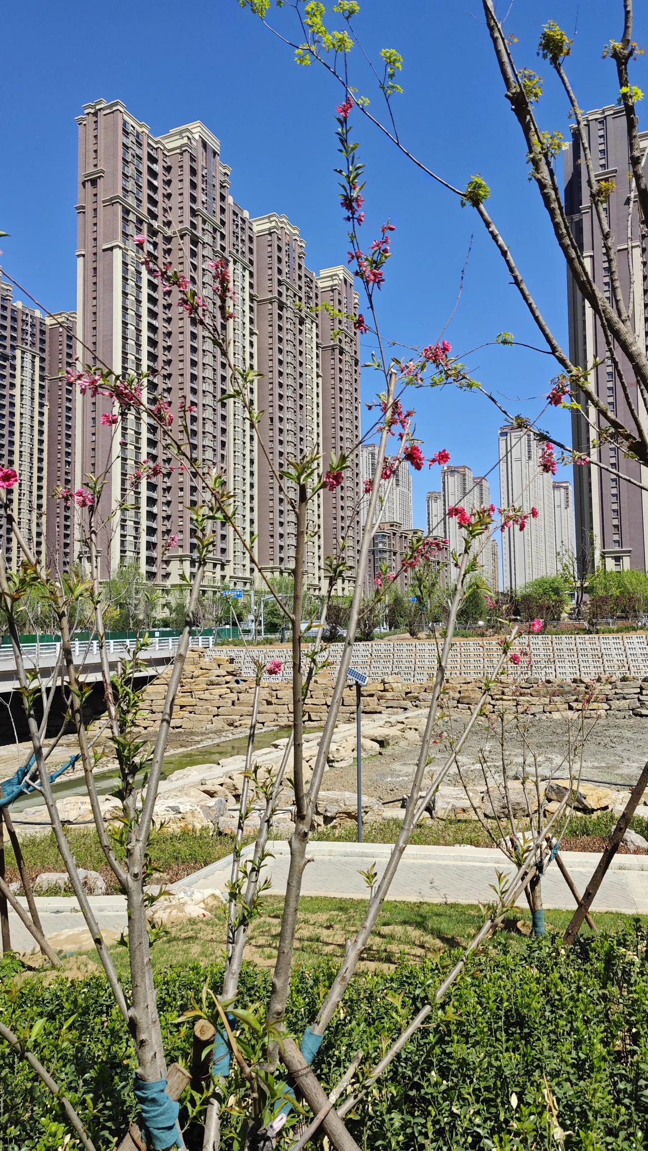 一位老中医说：立夏节气，养生记住这四句话！上周参加一个饭局，听说老家的一个远