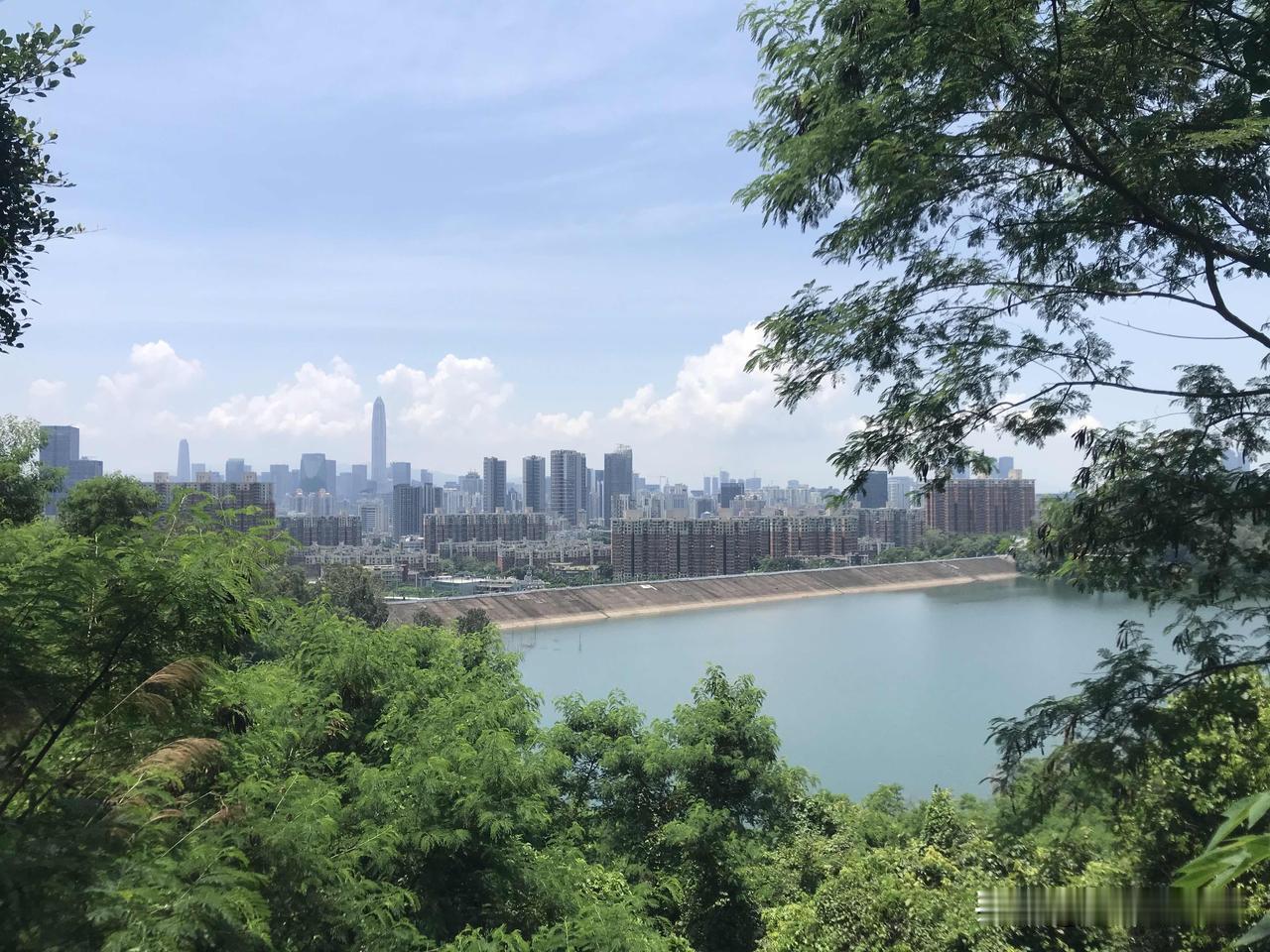 向西！向西！深圳当前的战略格局已经很明确了。我们不提别的，粤港澳大湾区经济生态规