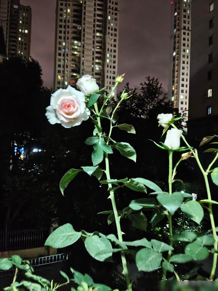 听到这个消息，我泪流满面。我前两年下楼踩空摔了脚踝，当时拍X光说没骨折就没当