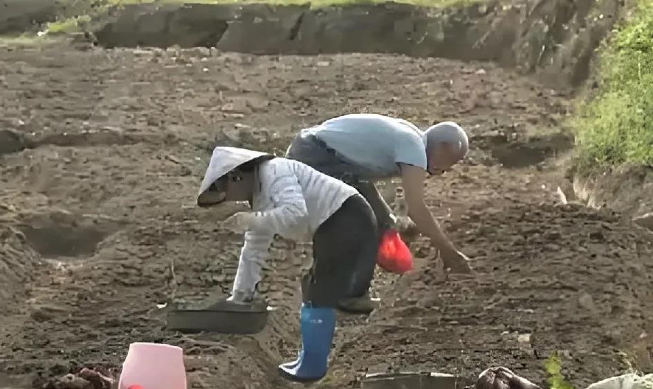 我患腰间盘突出、腰疼的毛病已经一年多了。这期间也有过几次阵痛，但基本上没有对平时