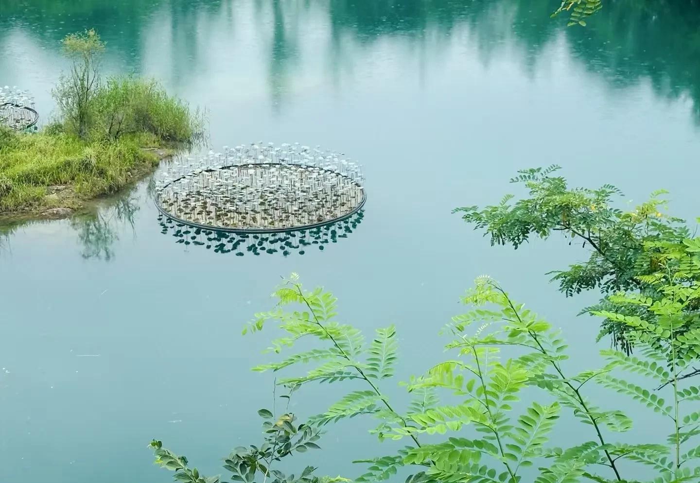 52岁表妹二婚，她有一个儿子，二婚老公有个女儿，二婚后令我们万万没有想到的是——