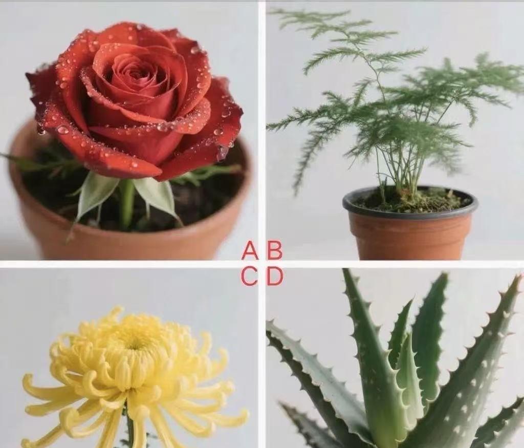 老了能靠自己吗？测测就知道！四幅图选一个悄悄告诉你晚年存款的小秘密~评论区