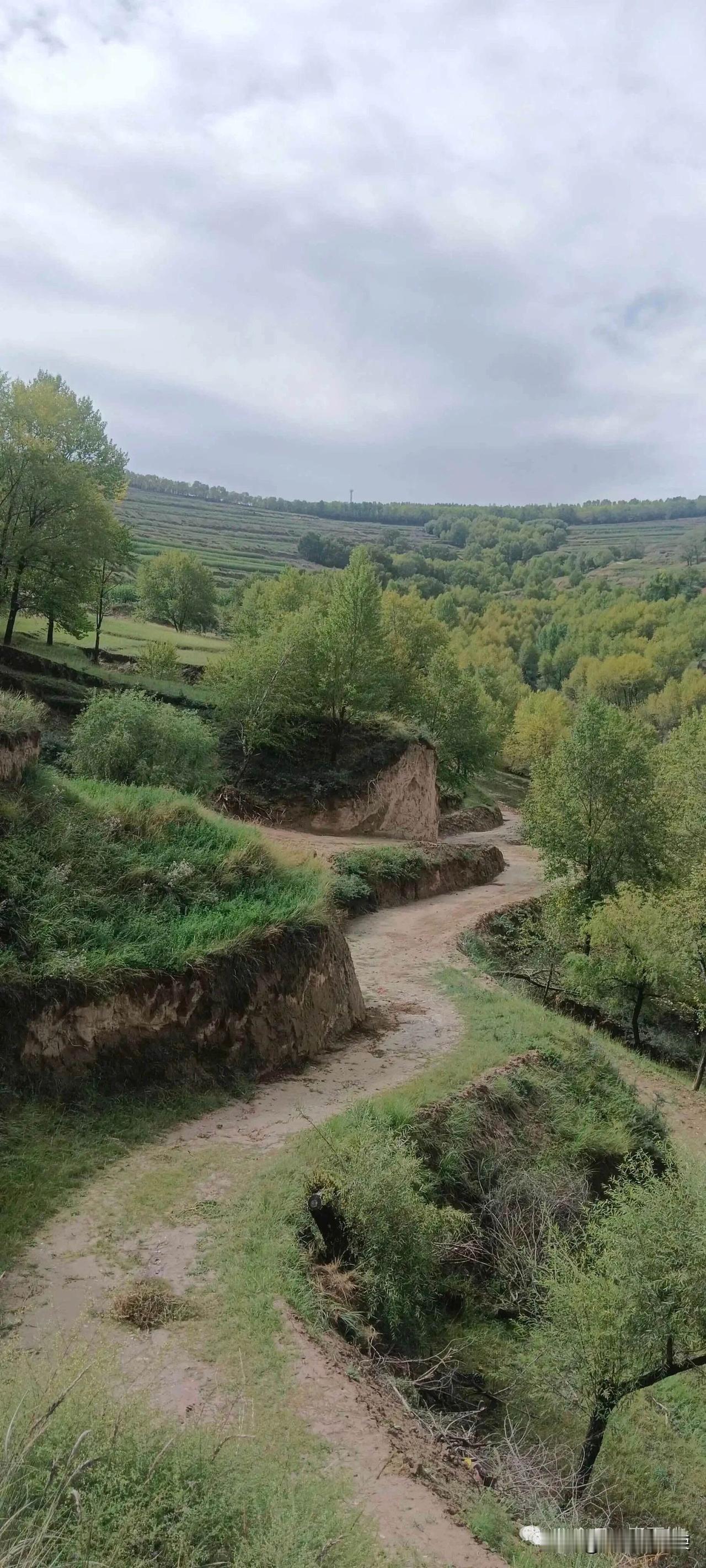 下面哪种自然环境，你更喜欢哪？第一张像黄土高原的春天，有土山坡，小路在期间徘徊