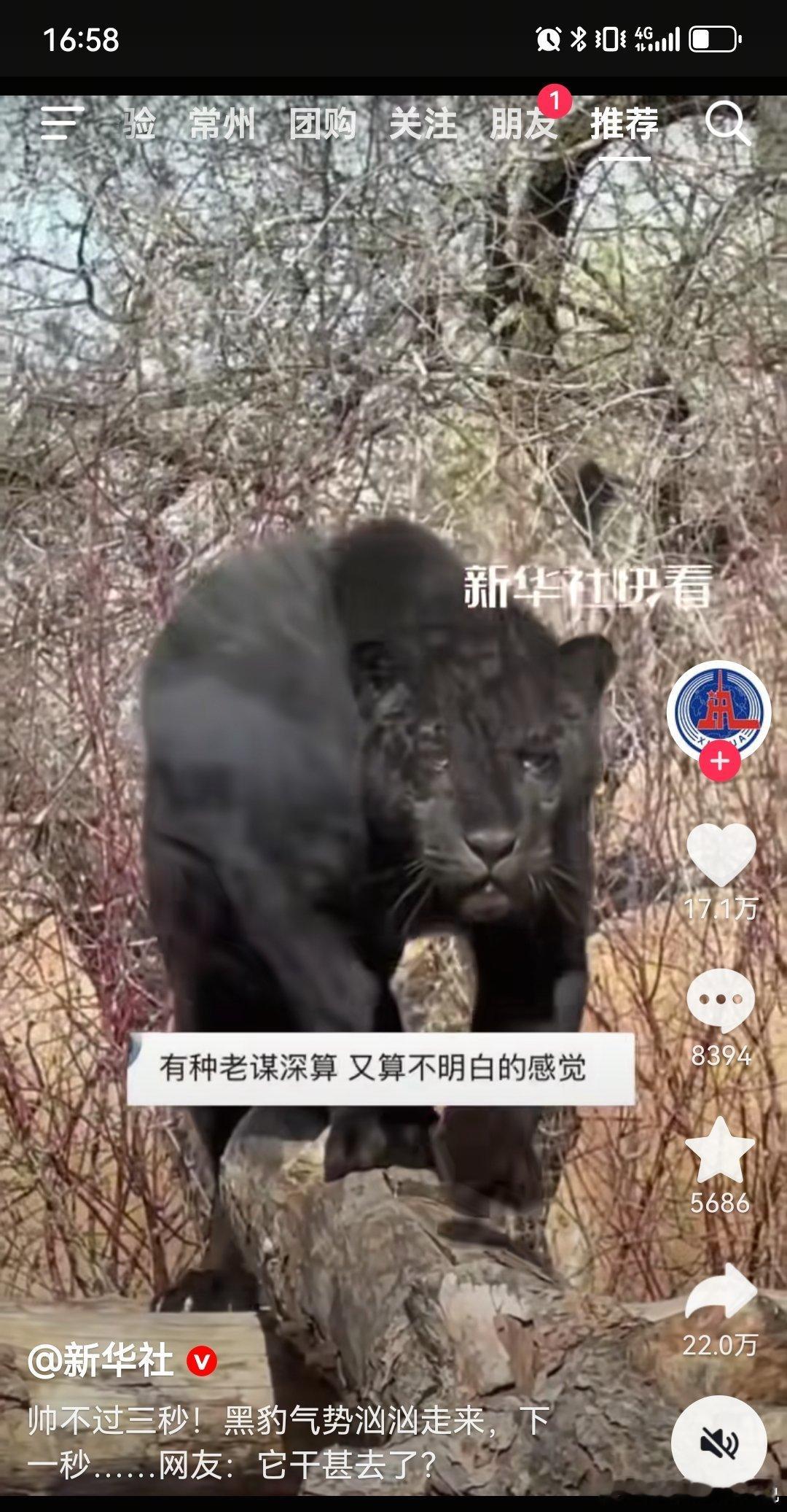 宣夜，你脸丢大发了新华社都发了[捂脸哭]​​​