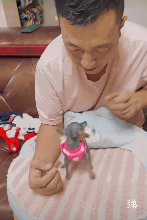 坏脾气是主人培养出来的，你吃饭的时候别人揪你耳朵你生气不?[捂脸哭]