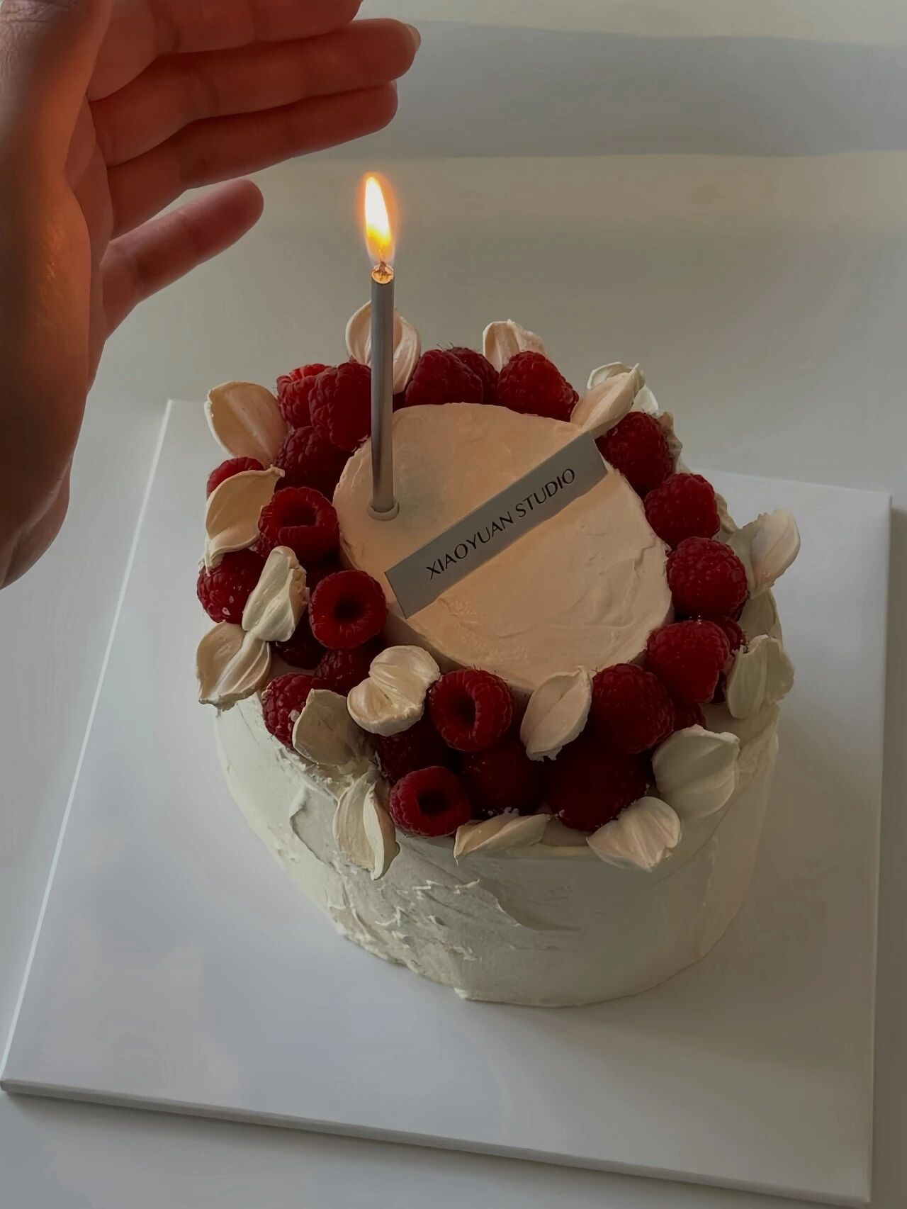 生日蛋糕积累໒꒰ྀི•ू⁼̴̶̤̀༥⁼̴̶̤́•ू꒱ྀི১​​​
