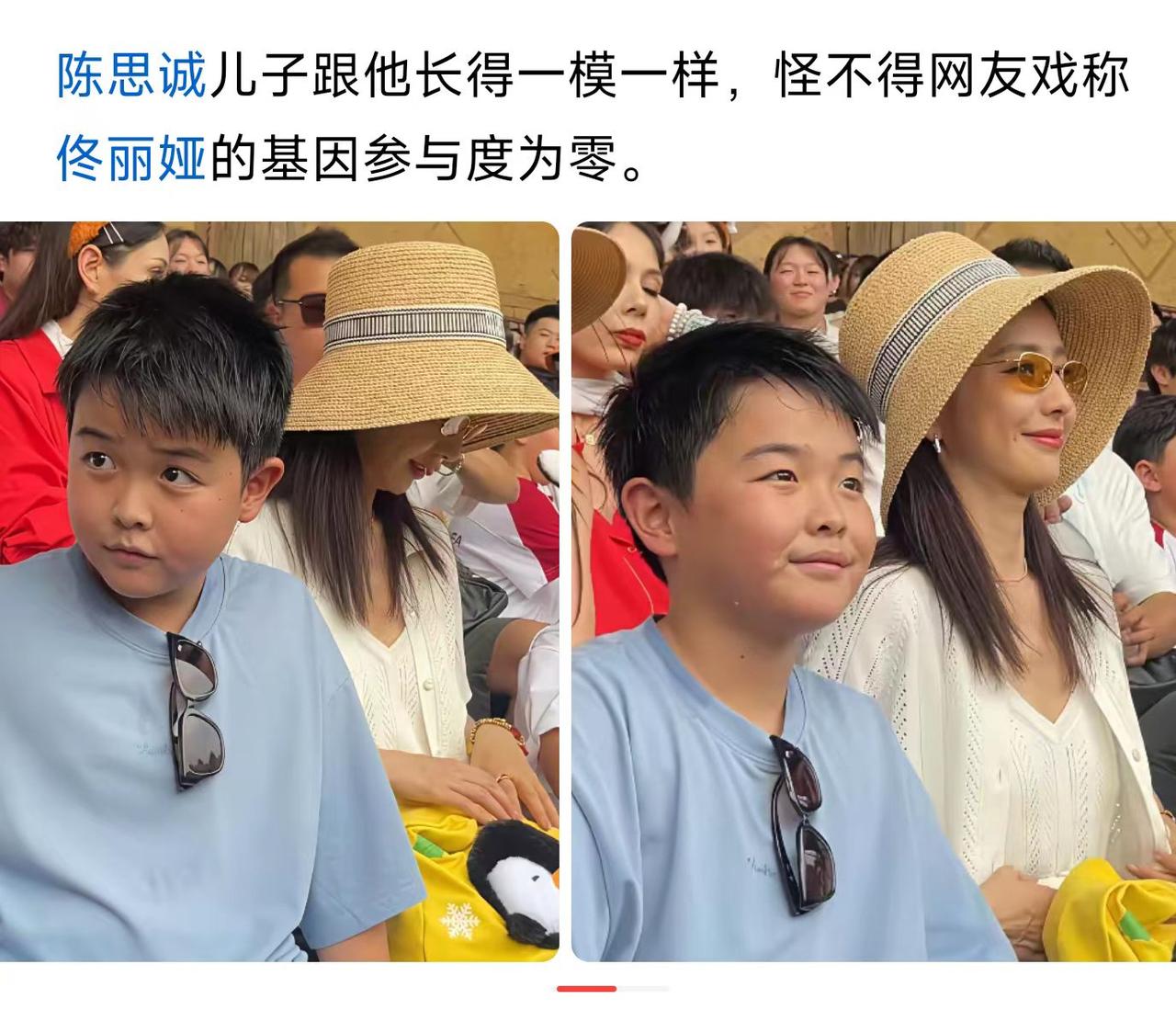 佟丽娅基因真被“屏蔽”了？