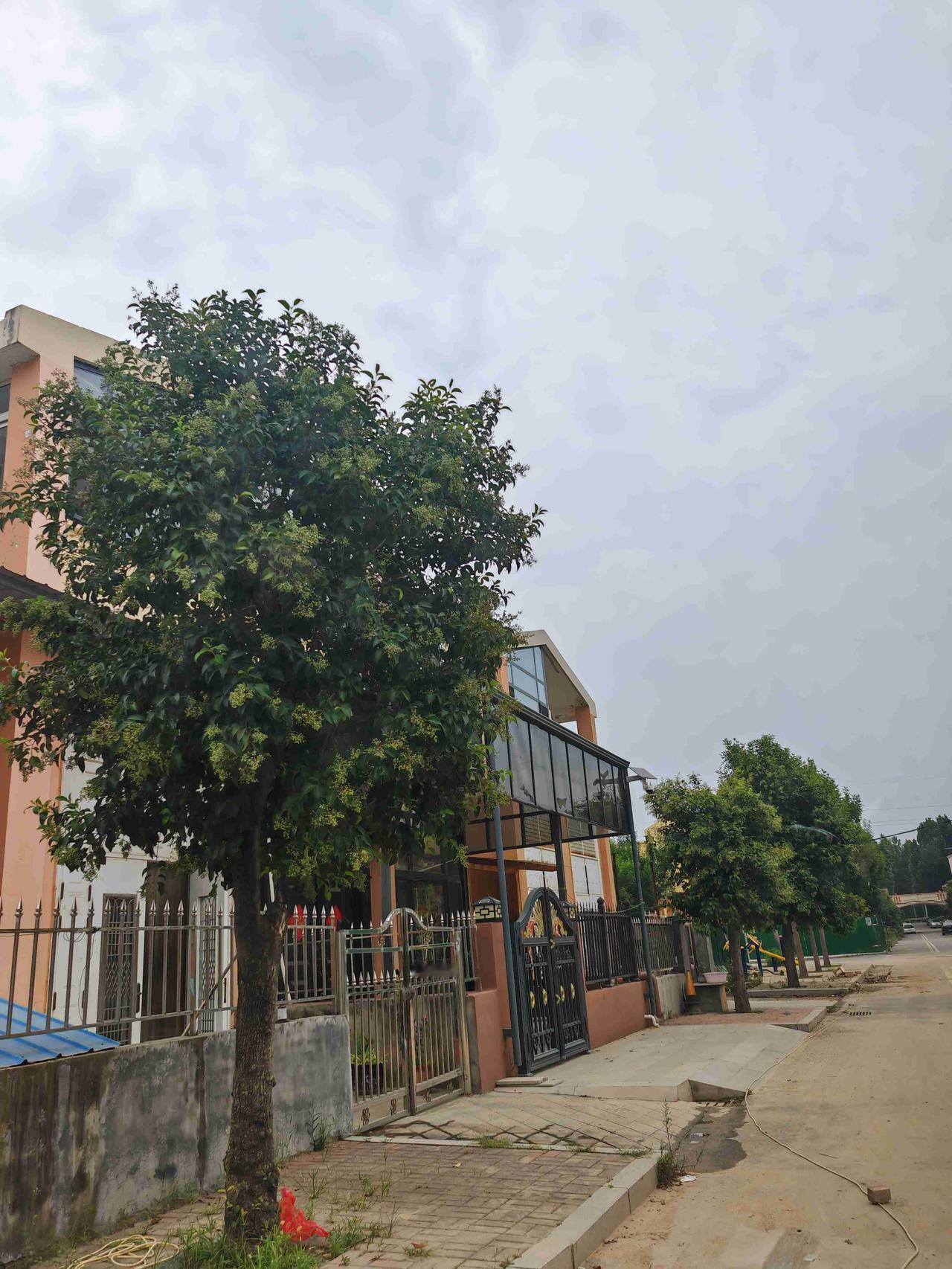 早晨八点多亲家姐姐把宝贝接走，老公把婆婆送到她的住处，然后陪着我回娘家走一趟。