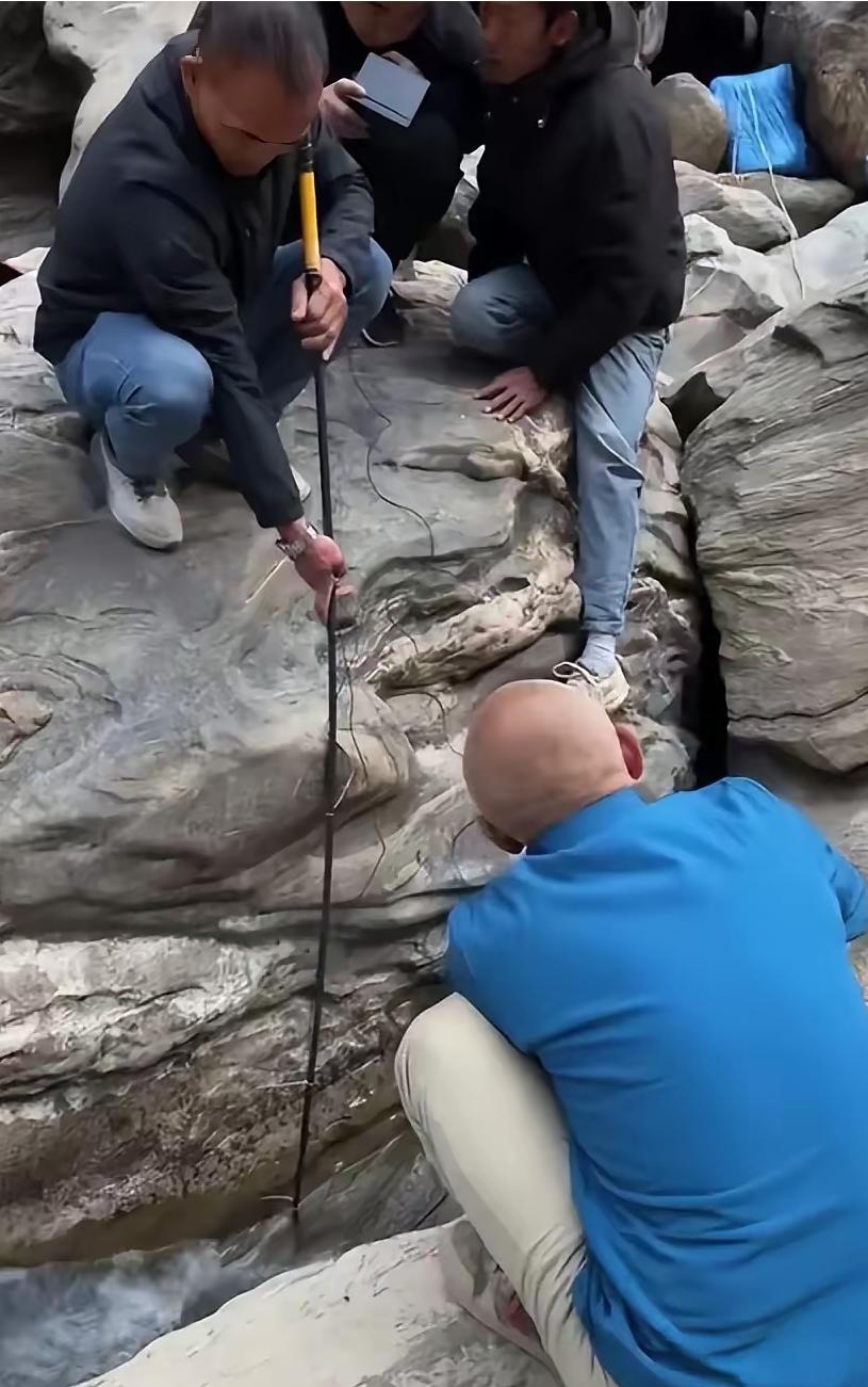 本来都已经放弃救援了，没过几天，家属提出了一个让人无法拒绝的请求。家属希望：不