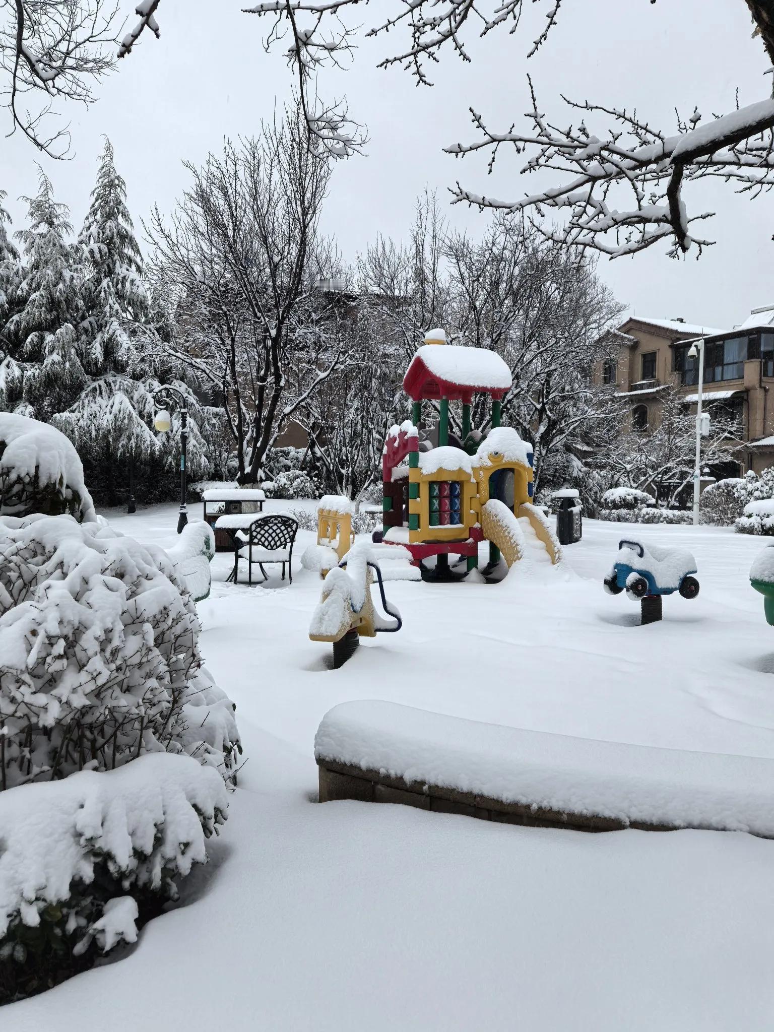 济南的雪总是那么任性。前一天还热的能穿短袖，第二天就暴雪来袭。2025年的首场雪