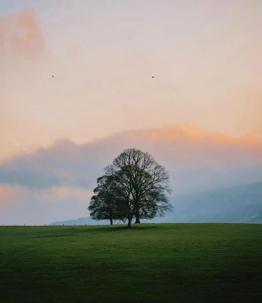 一段很有道理的话：“真正的高手，城府都极深，当众拥抱你，背后可以放倒你，即