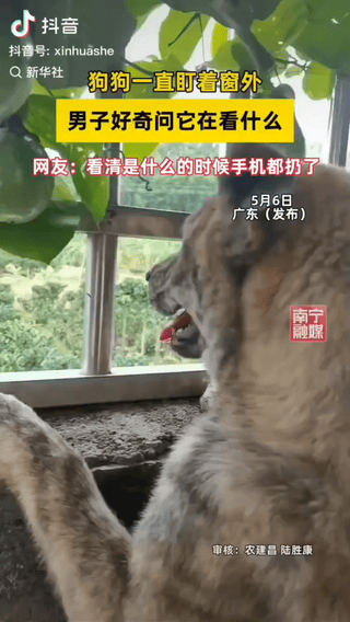 广东，一男子发现自家的狗子正死死盯着窗外看，就好奇地问它：“看什么呢？”结果凑近