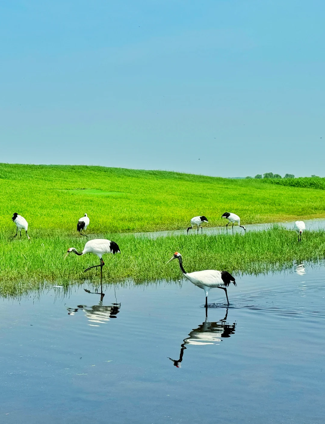 黑龙江齐齐哈尔，美景游玩打卡攻略！