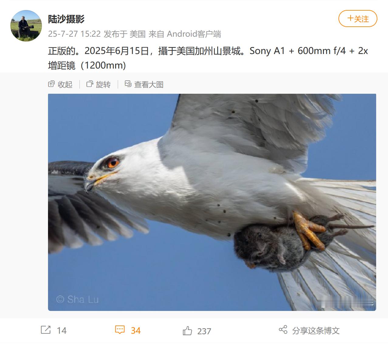 很难评……​​​