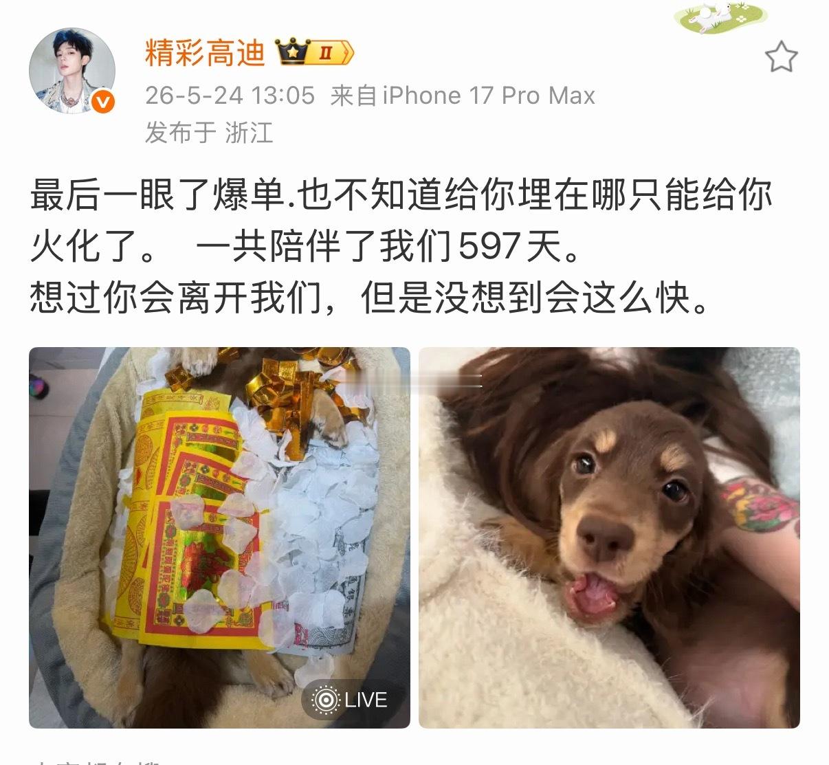 高迪大美的狗在车库被车碾死高迪把爆单火化了，高迪说司机和员工都有一点问题，谁也