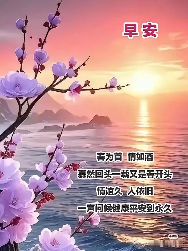 早安，愿你如春花般绽放，情如酒般醇厚。