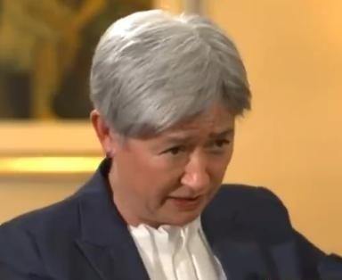 按澳大利亚外长黄英贤的逻辑，中国即便组区域联盟也是正当威慑！黄英贤以能力差距作为