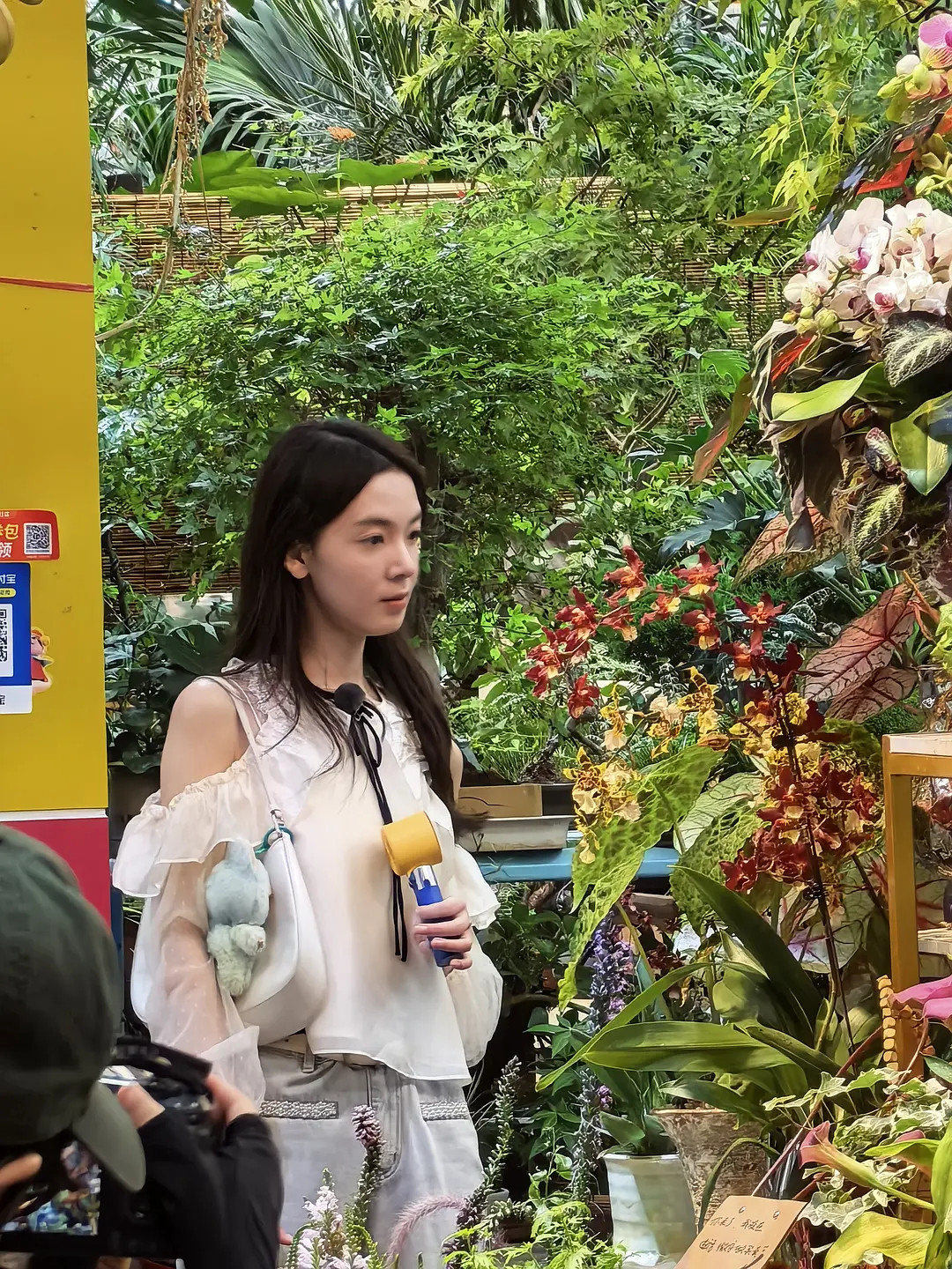 陈瑶太可惜了，刚有一点红的趋势，脸就开始显老了